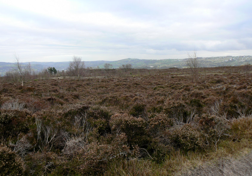 Stanton Moor Stanton Moor